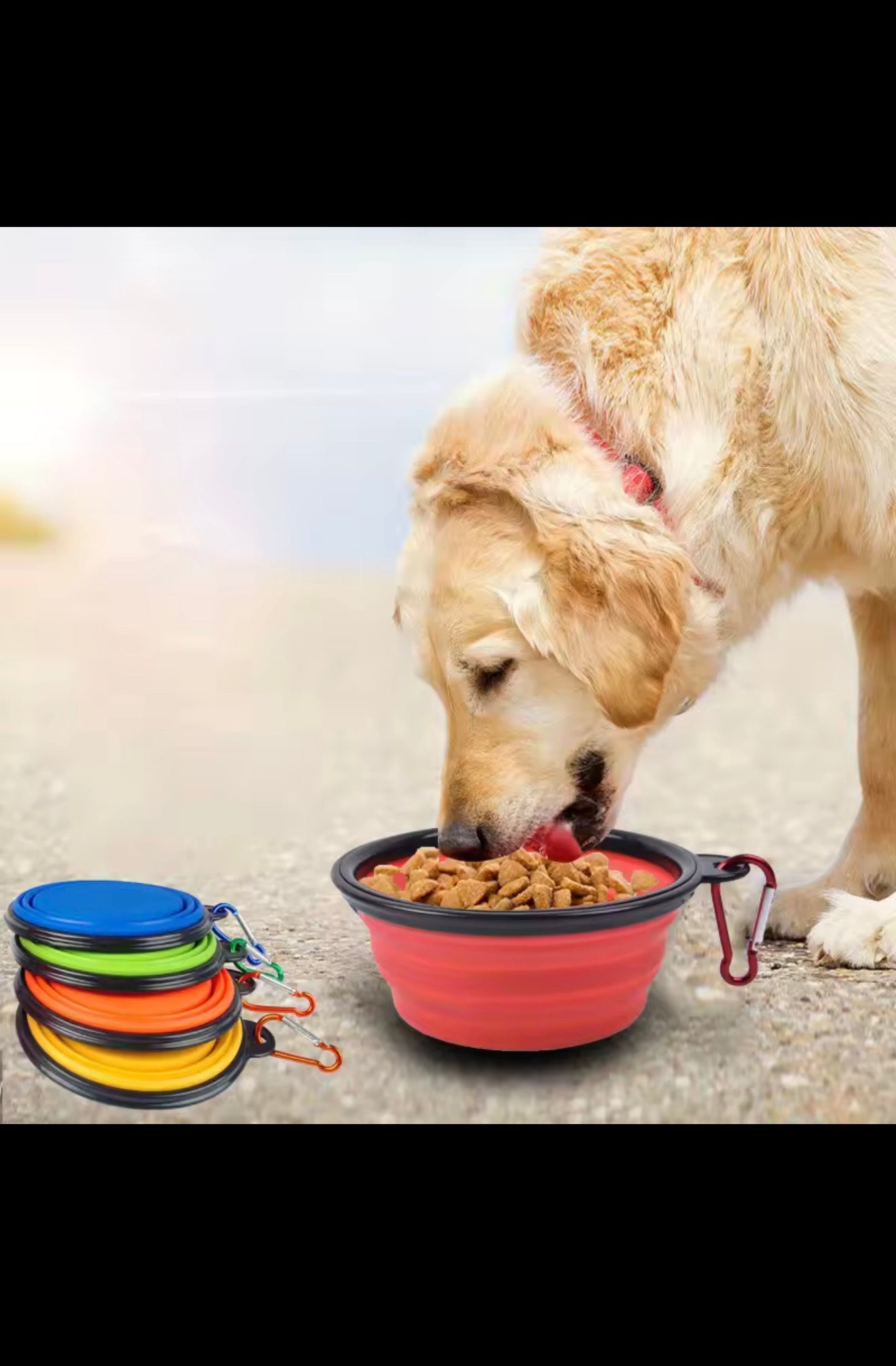 Foldable dog bowl Portable dog travel bowl Water bowl for dog food for walks
